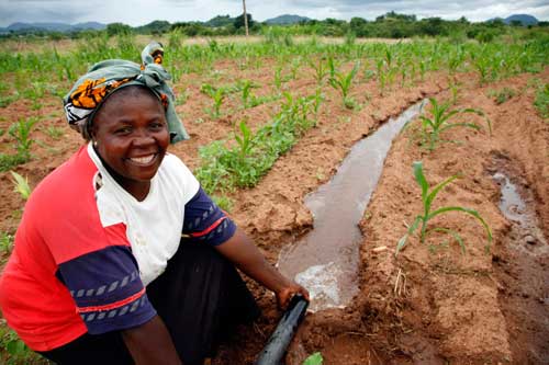 African Irrigation